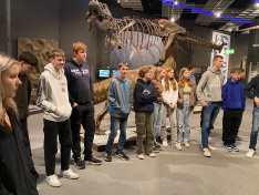 Der 10er Nawi-Kurs im Naturkundemuseum.