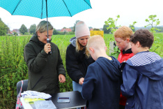 Regnerisch und eher kühl, so war das Wetter beim Sponsorenlauf im letzten Jahr. Bei der diesjährigen Auflage hofft die Liebfrauenschule auf strahlenden Sonnenschein! 
